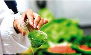 【合肥食品检测】绿色食品认证要具备什么条件？